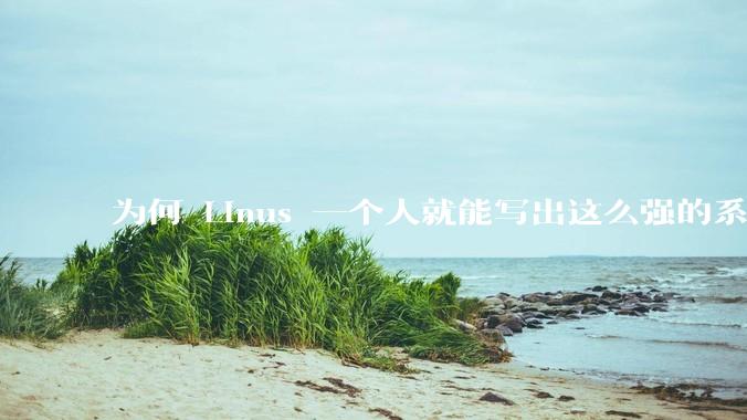 为何 Linus 一个人就能写出这么强的系统，中国却做不出来？